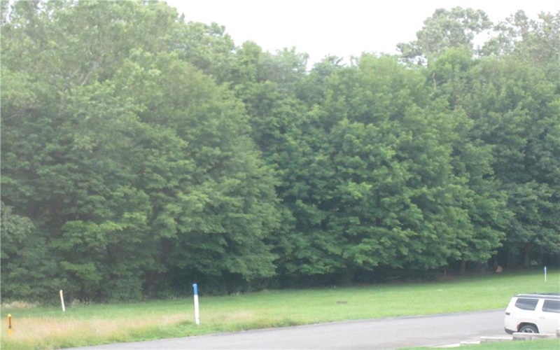 0 VICTORIA LANE, 15370, 15370, ,Farm-acreage-lot,For Sale,VICTORIA LANE,1705810