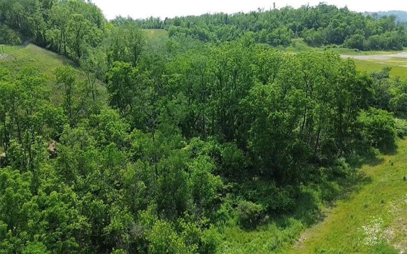0 Route 519, Canonsburg, 15317, ,Farm-acreage-lot,For Sale,Route 519,1706095