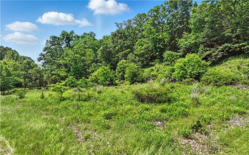 3356 Tarr Hollow Rd, Murrysville, 15668, ,Farm-acreage-lot,For Sale,Tarr Hollow Rd,1706428