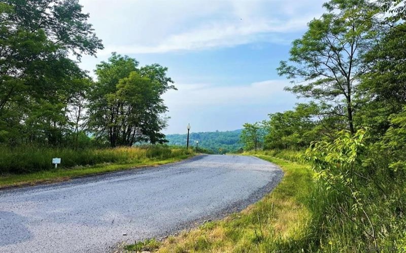 0 Broad Avenue, Central City, 15926, ,Farm-acreage-lot,For Sale,None,Broad Avenue,1718736