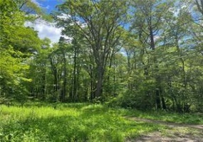 Lots 50, 51, 68, 69 Innsbruck, Jennerstown, 15547, ,Farm-acreage-lot,For Sale,Innsbruck,1707050