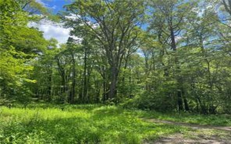 Lots 50, 51, 68, 69 Innsbruck, Jennerstown, 15547, ,Farm-acreage-lot,For Sale,Innsbruck,1707050