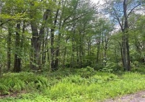 Lots 74, 75, 76, 77 Innsbruck, Jennerstown, 15547, ,Farm-acreage-lot,For Sale,Innsbruck,1707051