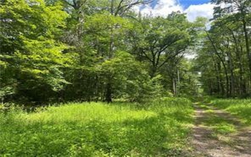 Lots 81, 82, 83, 84 Innsbruck, Jennerstown, 15547, ,Farm-acreage-lot,For Sale,Innsbruck,1707053