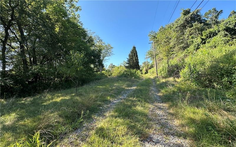 1441 Leckrone Masontown Road, Masontown, 15461, ,Farm-acreage-lot,For Sale,Leckrone Masontown Road,1718888