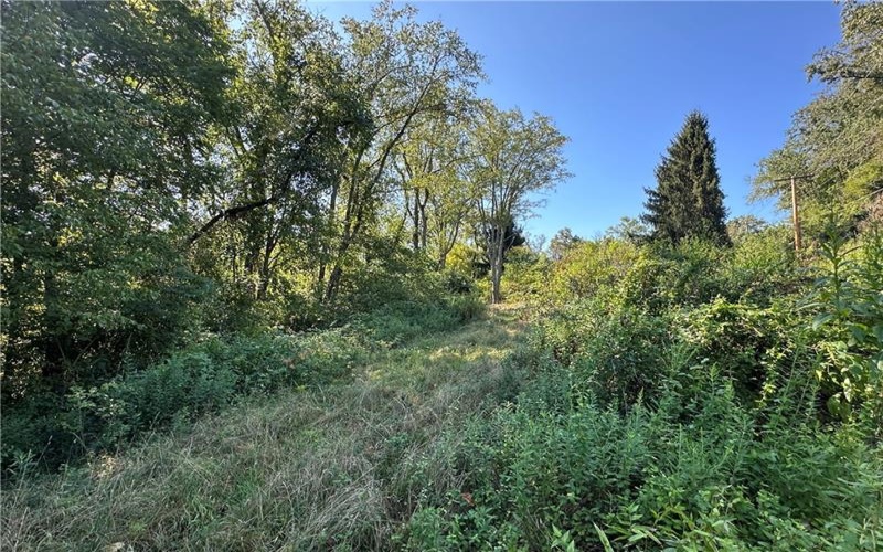 1441 Leckrone Masontown Road, Masontown, 15461, ,Farm-acreage-lot,For Sale,Leckrone Masontown Road,1718888