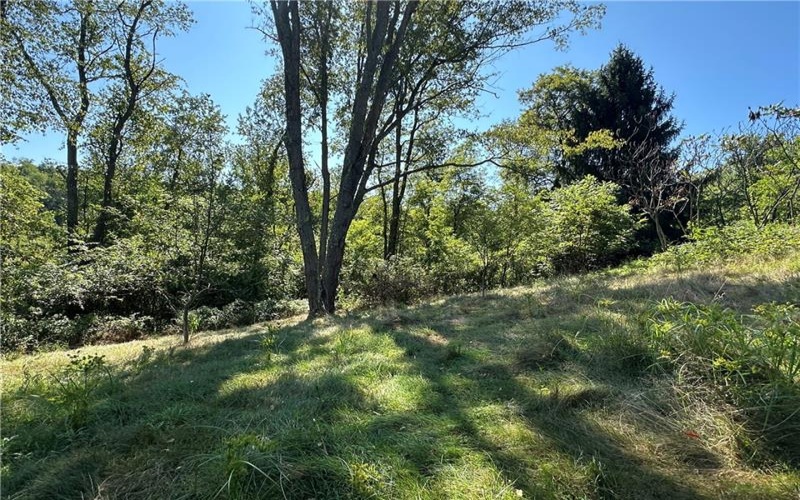 1441 Leckrone Masontown Road, Masontown, 15461, ,Farm-acreage-lot,For Sale,Leckrone Masontown Road,1718888