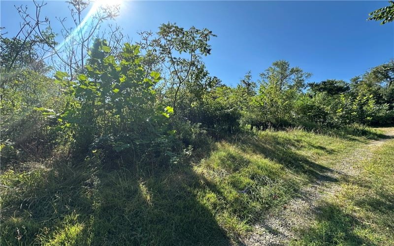 1441 Leckrone Masontown Road, Masontown, 15461, ,Farm-acreage-lot,For Sale,Leckrone Masontown Road,1718888