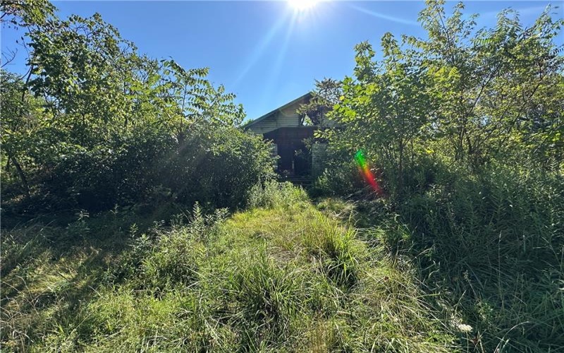 1441 Leckrone Masontown Road, Masontown, 15461, ,Farm-acreage-lot,For Sale,Leckrone Masontown Road,1718888