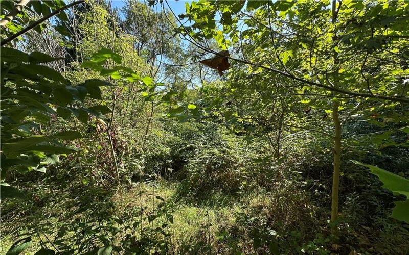 1441 Leckrone Masontown Road, Masontown, 15461, ,Farm-acreage-lot,For Sale,Leckrone Masontown Road,1718888