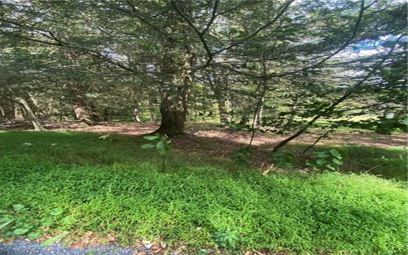 422 Red Oak Road, 422 Red Oak Road Flinton, 16640, ,Farm-acreage-lot,For Sale,Red Oak Road,1718961