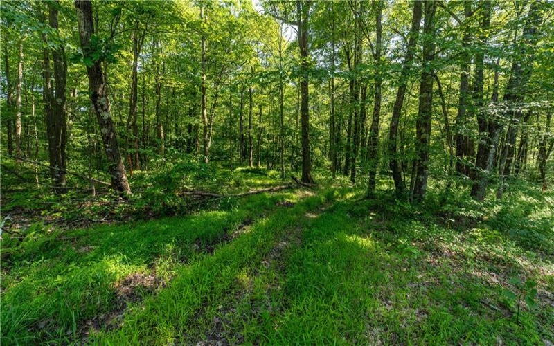 552 Chalk Hl Ohpyl Rd, Ohiopyle, 15470, 2 Bedrooms Bedrooms, ,1 BathroomBathrooms,Residential,For Sale,Chalk Hl Ohpyl Rd,1707245