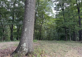 Lot 1310 Woodbury Drive, Greensburg, 15601, ,Farm-acreage-lot,For Sale,Woodbury Drive,1719178 Lot 1310 Woodbury Drive, Greensburg, 15601, ,Farm-acreage-lot,For Sale,Woodbury Drive,1719178