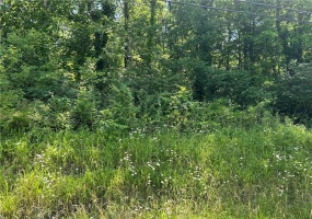 Lot 9 Hicklory Square Rd, Connellsville, 15425, ,Farm-acreage-lot,For Sale,Hicklory Square Rd,1707344 Lot 9 Hicklory Square Rd, Connellsville, 15425, ,Farm-acreage-lot,For Sale,Hicklory Square Rd,1707344