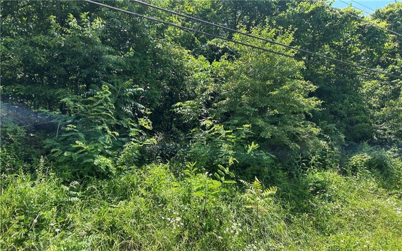 Lot 10 Hickory Rd, Connellsville, 15425, ,Farm-acreage-lot,For Sale,Hickory Rd,1707345