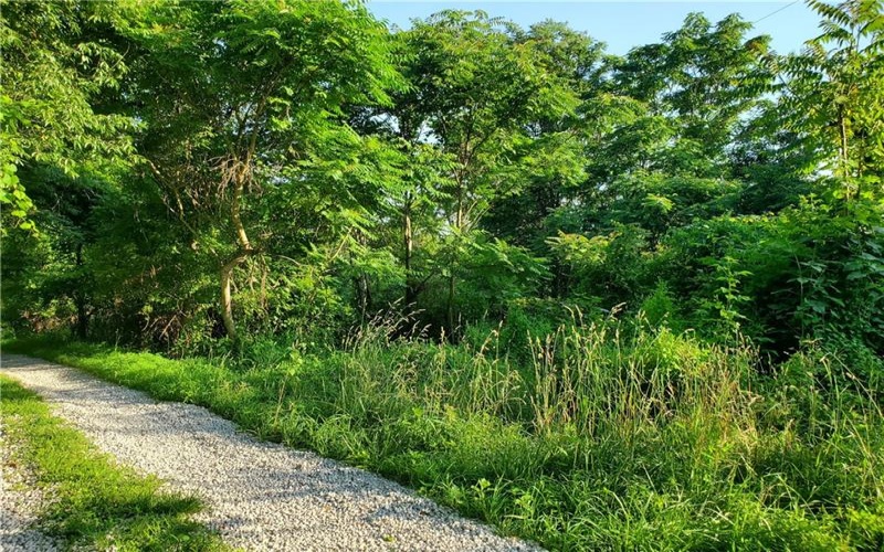 0 SHAFFER LN, West Alexander, 15376, ,Farm-acreage-lot,For Sale,SHAFFER LN,1707472