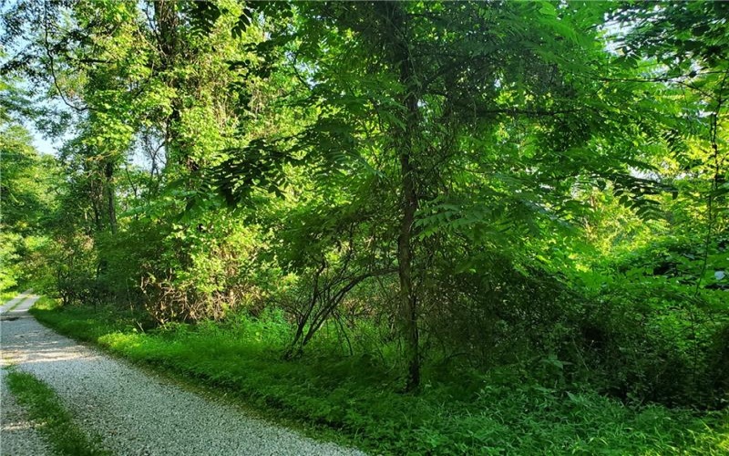 0 SHAFFER LN, West Alexander, 15376, ,Farm-acreage-lot,For Sale,SHAFFER LN,1707472