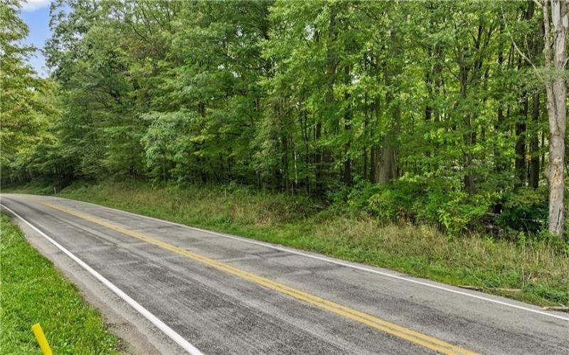 0 Trent Road, Somerset, 15501, ,Farm-acreage-lot,For Sale,Trent Road,1719871