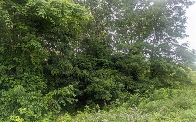 0 Raymond Franks Road, Lake Lynn, 15451, ,Farm-acreage-lot,For Sale,Raymond Franks Road,1708091