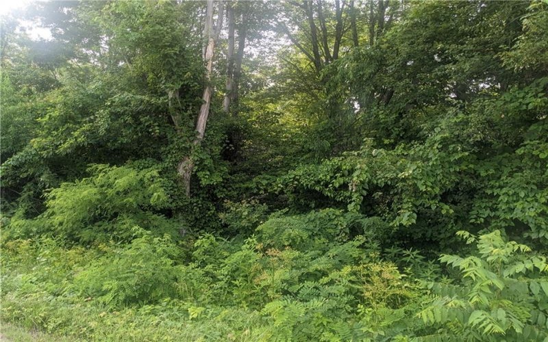 0 Raymond Franks Road, Lake Lynn, 15451, ,Farm-acreage-lot,For Sale,Raymond Franks Road,1708091