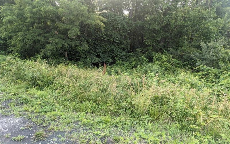 0 Raymond Franks Road, Lake Lynn, 15451, ,Farm-acreage-lot,For Sale,Raymond Franks Road,1708091