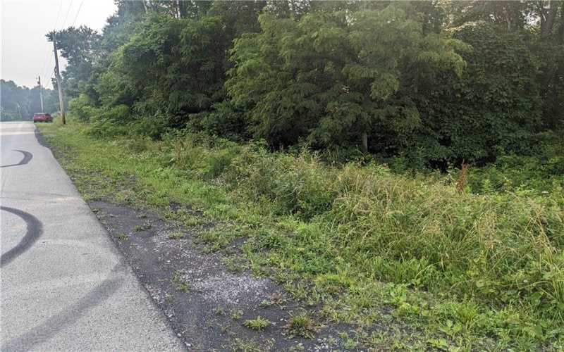 0 Raymond Franks Road, Lake Lynn, 15451, ,Farm-acreage-lot,For Sale,Raymond Franks Road,1708091