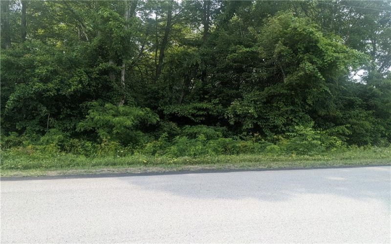 0 Raymond Franks Road, Lake Lynn, 15451, ,Farm-acreage-lot,For Sale,Raymond Franks Road,1708091