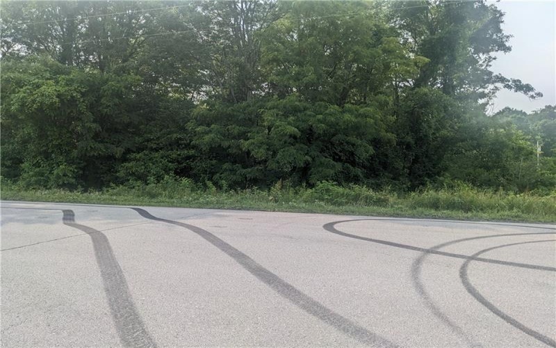 0 Raymond Franks Road, Lake Lynn, 15451, ,Farm-acreage-lot,For Sale,Raymond Franks Road,1708091