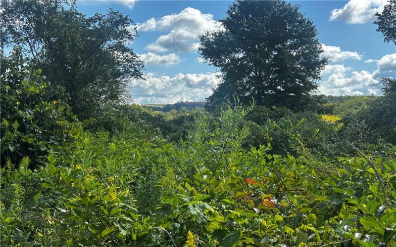 0 Steel St, Grindstone, 15442, ,Farm-acreage-lot,For Sale,Steel St,1719984