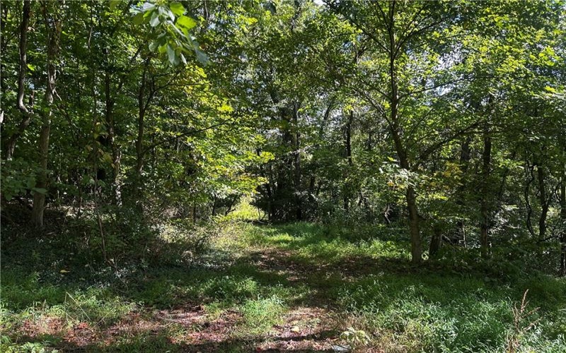 0 Steel St, Grindstone, 15442, ,Farm-acreage-lot,For Sale,Steel St,1719984