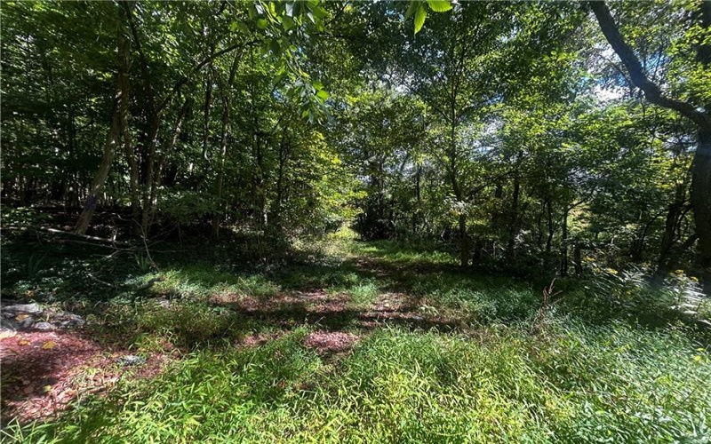 0 Steel St, Grindstone, 15442, ,Farm-acreage-lot,For Sale,Steel St,1719984