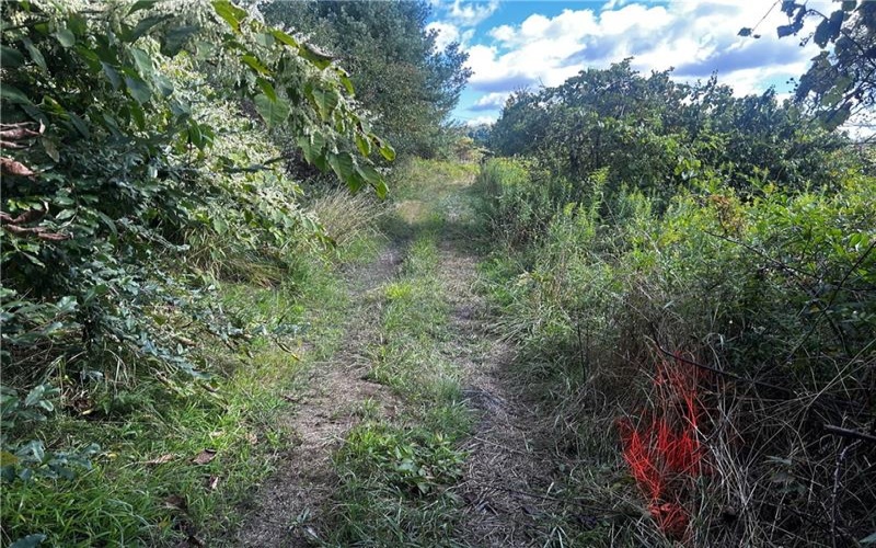 0 Steel St, Grindstone, 15442, ,Farm-acreage-lot,For Sale,Steel St,1719984