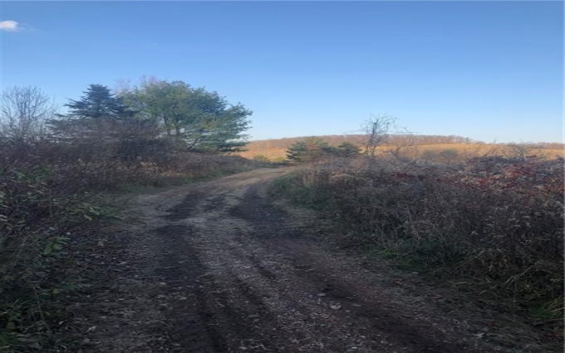 0 Steel St, Grindstone, 15442, ,Farm-acreage-lot,For Sale,Steel St,1719984