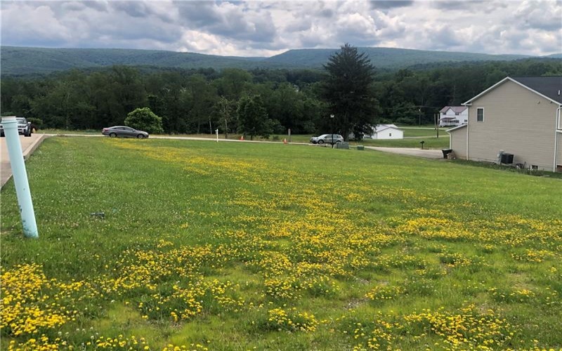 LOT 10 WELLINGTON DRIVE, Uniontown, 15401, ,Farm-acreage-lot,For Sale,WELLINGTON DRIVE,1737317