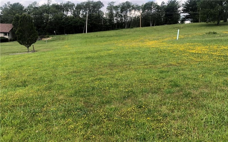 LOT 10 WELLINGTON DRIVE, Uniontown, 15401, ,Farm-acreage-lot,For Sale,WELLINGTON DRIVE,1737317