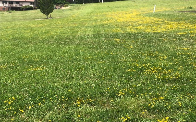 LOT 10 WELLINGTON DRIVE, Uniontown, 15401, ,Farm-acreage-lot,For Sale,WELLINGTON DRIVE,1737317