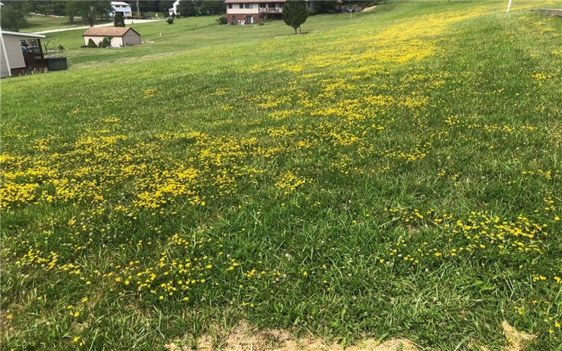 LOT 10 WELLINGTON DRIVE, Uniontown, 15401, ,Farm-acreage-lot,For Sale,WELLINGTON DRIVE,1737317