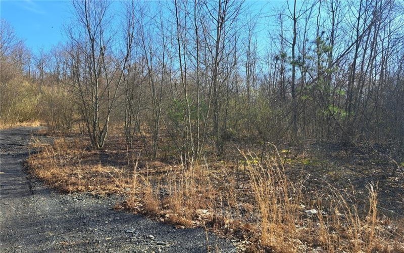 0001 Joffre Cherry Valley Road, Smith, 15053, ,Farm-acreage-lot,For Sale,Joffre Cherry Valley Road,1740317
