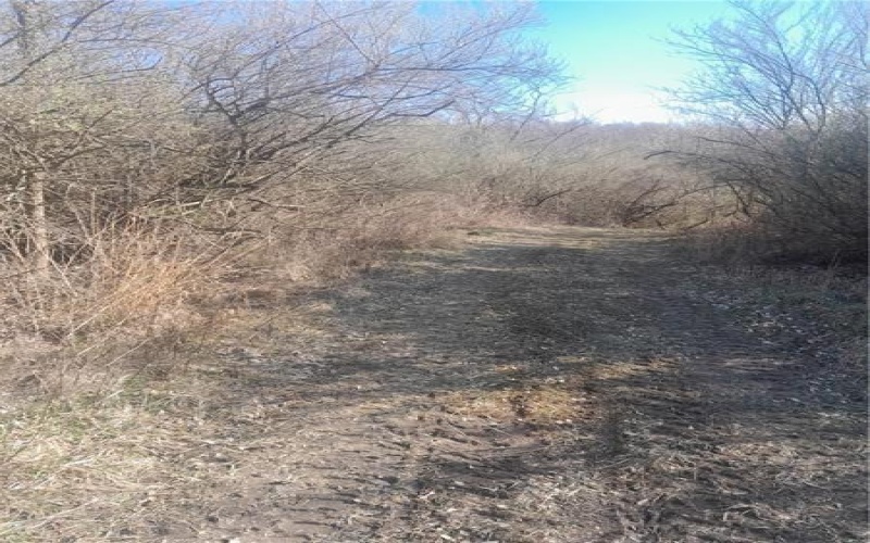 0001 Joffre Cherry Valley Road, Smith, 15053, ,Farm-acreage-lot,For Sale,Joffre Cherry Valley Road,1740317