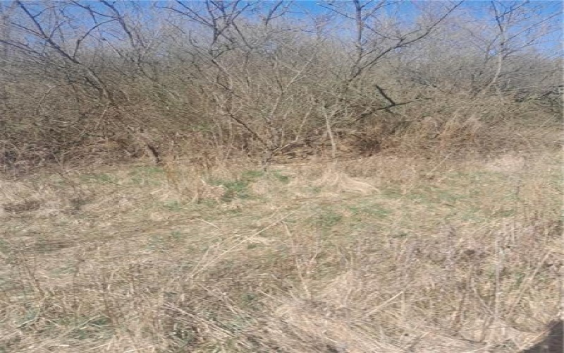0001 Joffre Cherry Valley Road, Smith, 15053, ,Farm-acreage-lot,For Sale,Joffre Cherry Valley Road,1740317