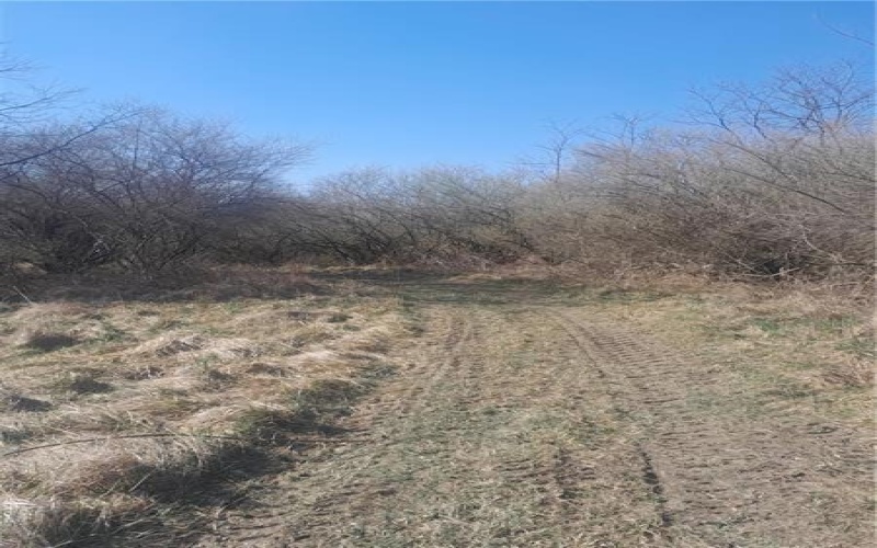 0001 Joffre Cherry Valley Road, Smith, 15053, ,Farm-acreage-lot,For Sale,Joffre Cherry Valley Road,1740317