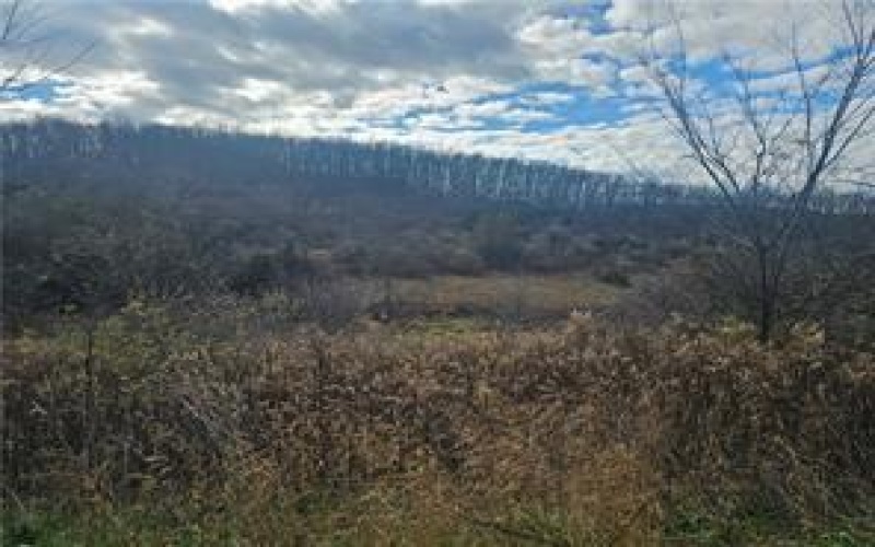 RT 130-Bell Memorial, 15650, 15650, ,Farm-acreage-lot,For Sale,None,130-Bell Memorial,1732988