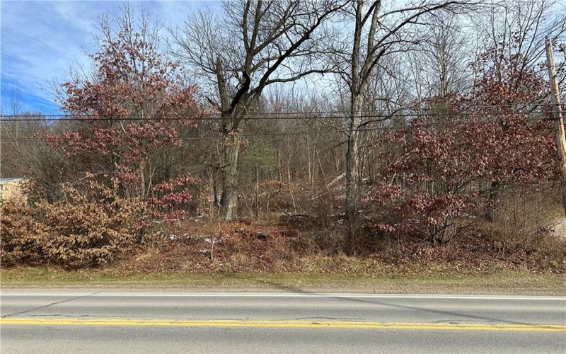 716 Rte 356, Apollo, 15613, ,Farm-acreage-lot,For Sale,Rte 356,1733012