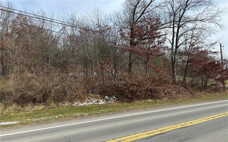 716 Rte 356, Apollo, 15613, ,Farm-acreage-lot,For Sale,Rte 356,1733012