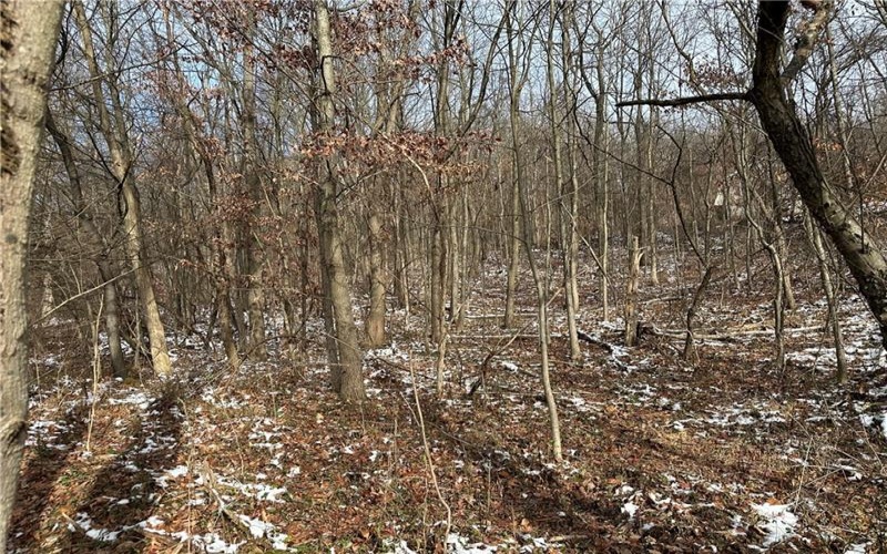716 Rte 356, Apollo, 15613, ,Farm-acreage-lot,For Sale,Rte 356,1733012