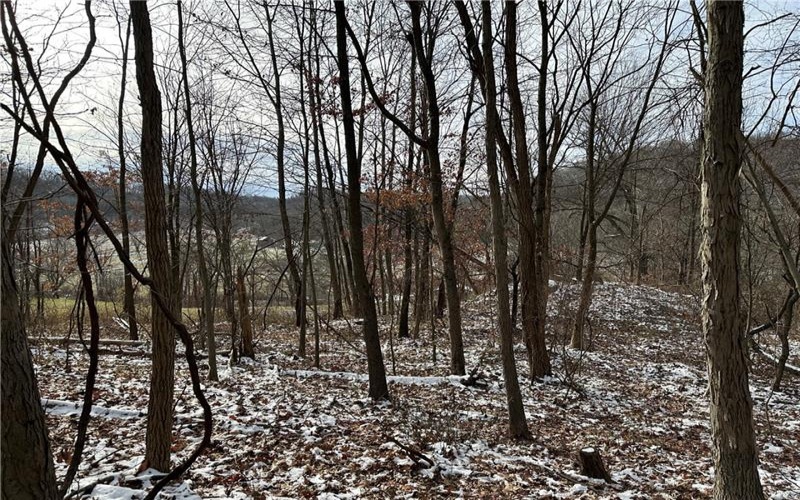 716 Rte 356, Apollo, 15613, ,Farm-acreage-lot,For Sale,Rte 356,1733012