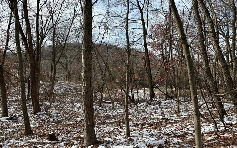 716 Rte 356, Apollo, 15613, ,Farm-acreage-lot,For Sale,Rte 356,1733012