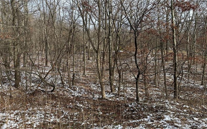 716 Rte 356, Apollo, 15613, ,Farm-acreage-lot,For Sale,Rte 356,1733012