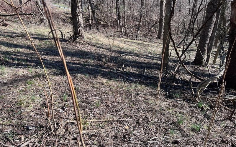 Lot#5 Tuscany Lane, Washington, 15301, ,Farm-acreage-lot,For Sale,Tuscany Lane,1740366