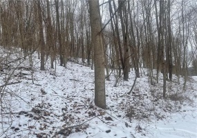 130 Wood, Bolivar, 15923, ,Farm-acreage-lot,For Sale,Wood,1743249